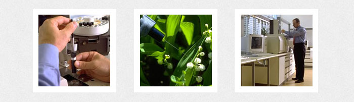 stains services de rencontres pour les hommes dâge moyen stains services de rencontres pour les hommes dâge moyen