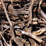 Bois de Cèdre (Juniperus Virginiana) http://www.osmoz.fr/Public/Files/material/8c7b956b.jpg