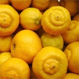 Citron (Citrus Limomum) http://www.osmoz.fr/Public/Files/material/d0d6da43.jpg