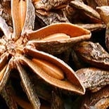 Basilic (Ocimum Basilicum) http://www.osmoz.fr/Public/Files/material/d994079d.jpg
