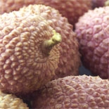 Litchi (Litchi sinensis) http://www.osmoz.fr/Public/Files/material/ecf5369f.jpg