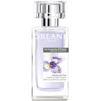 Autour de l’iris