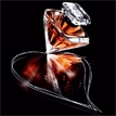 TRESOR Ed. 15è Anniversaire