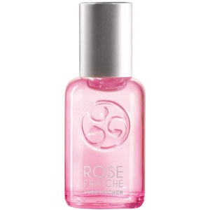 Rose Fraîche Rose Fraîche