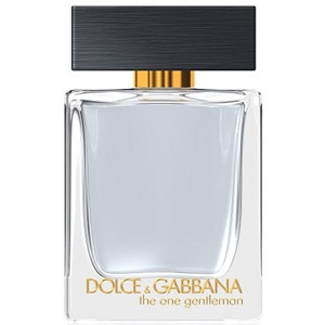 dolce and gabbana one gentleman