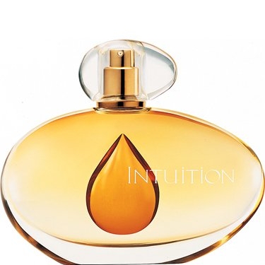 Intuition Intuition