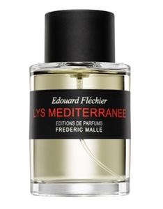 Lys Méditerranée