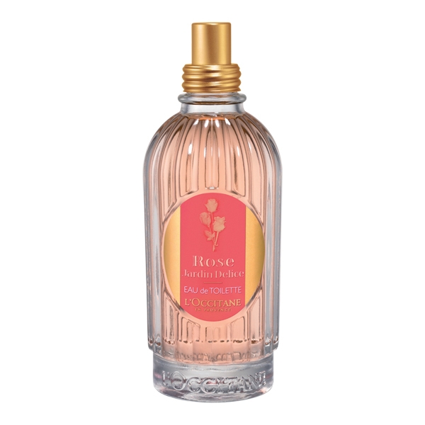 Rose Jardin Délice Rose Jardin Délice