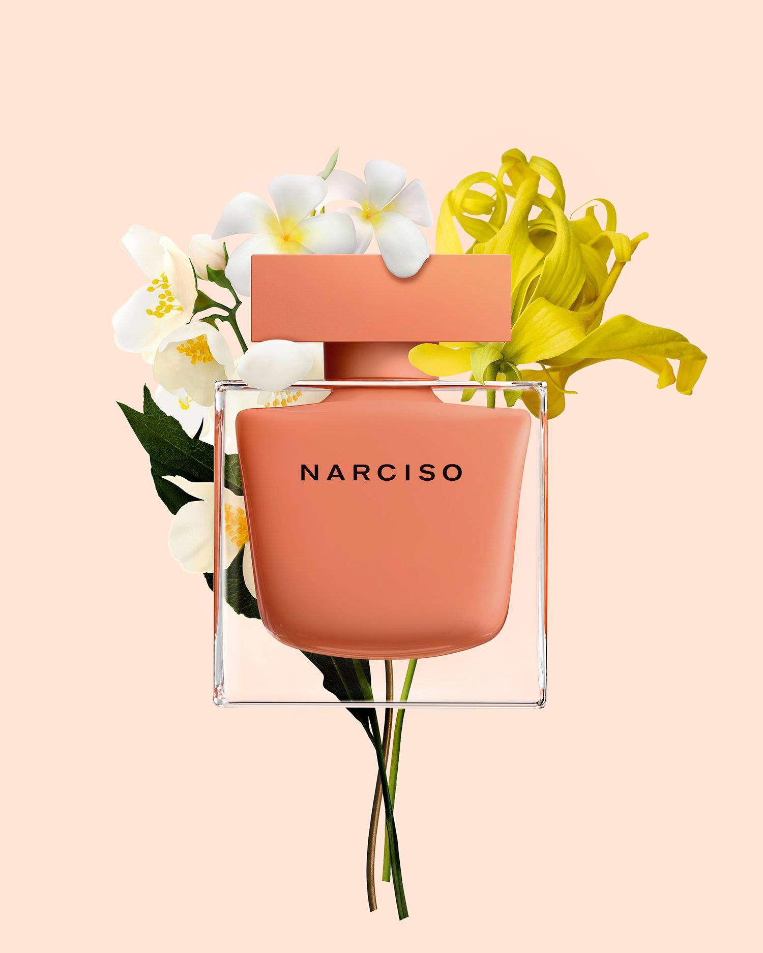 LES PARFUMS DE L'ÉTÉ PAR MANOTEDECOEUR