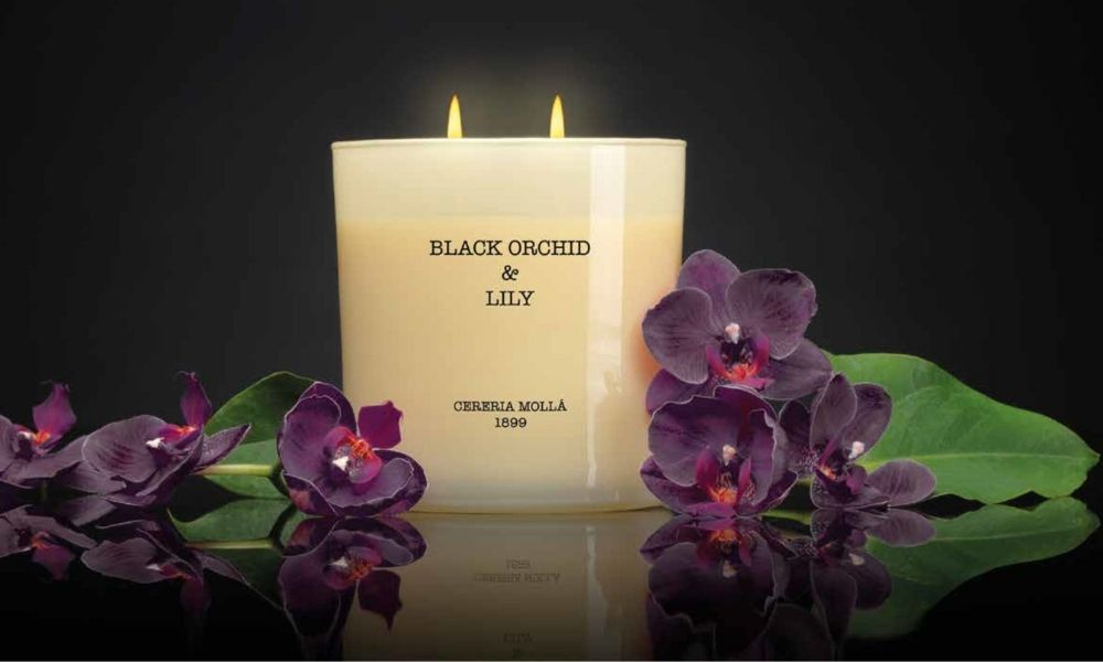 Bougie Cereria Molla, découvrez cette marque artisanale