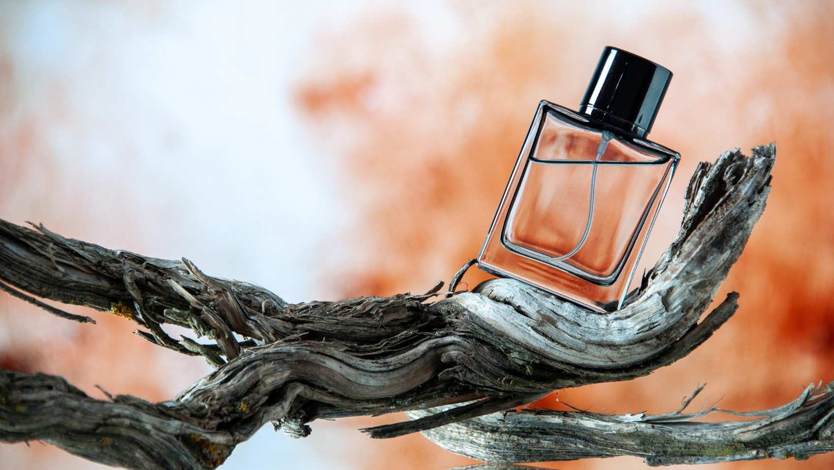 Comment choisir un parfum ? Le guide pour trouver la fragrance qui vous correspond