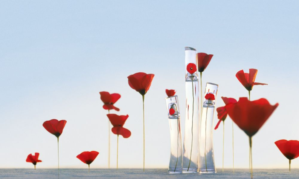 Kenzo Nocibe Coquelicot Kenzo Parfum Femme Rouge Parfumo Kenzo