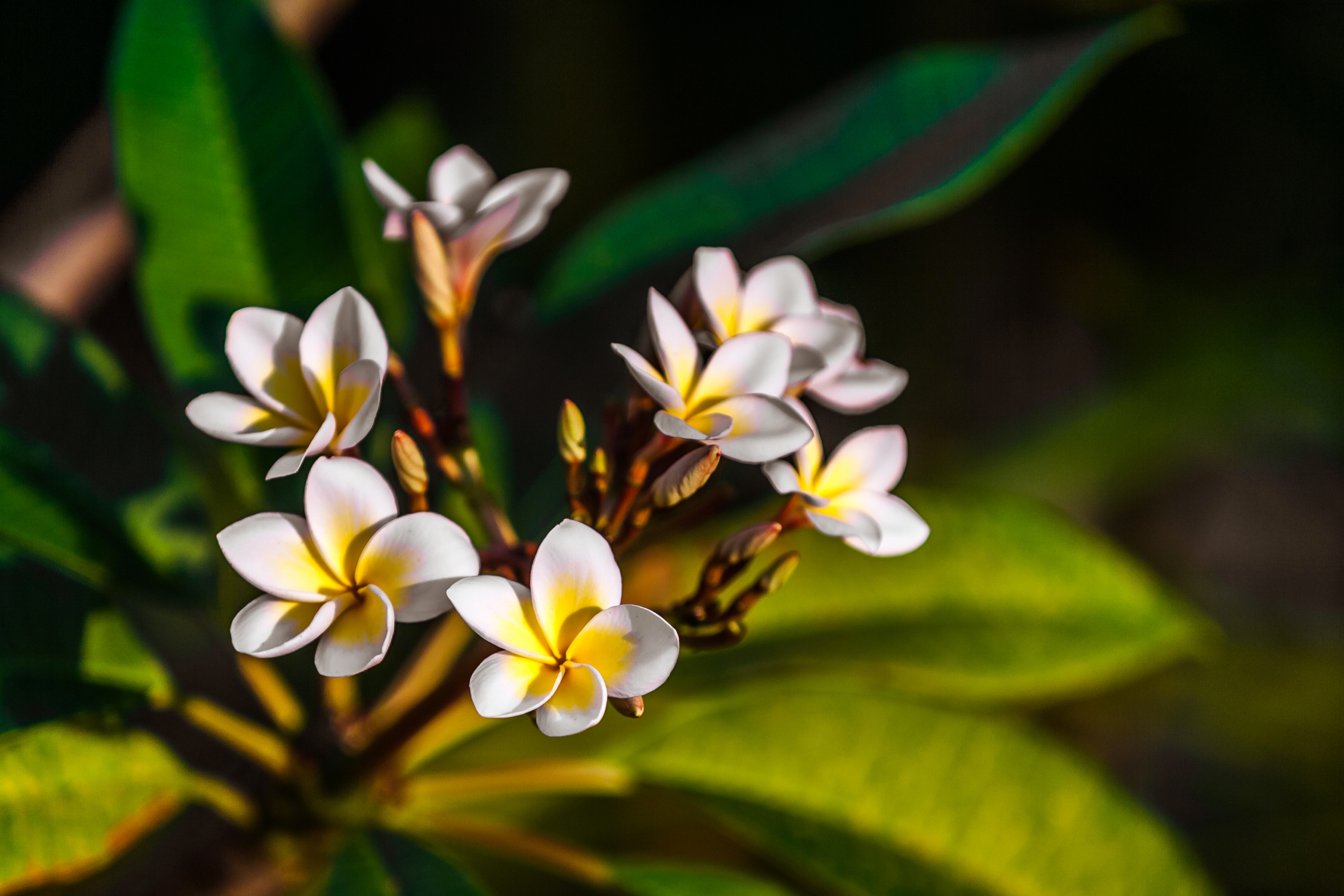 Le bien-être parfumé s’invite cet hiver…