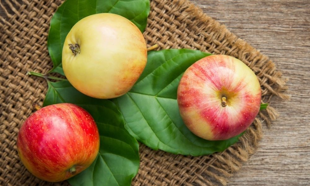 Parfum en forme de pomme 5 effluves au design couleur rouge & verte