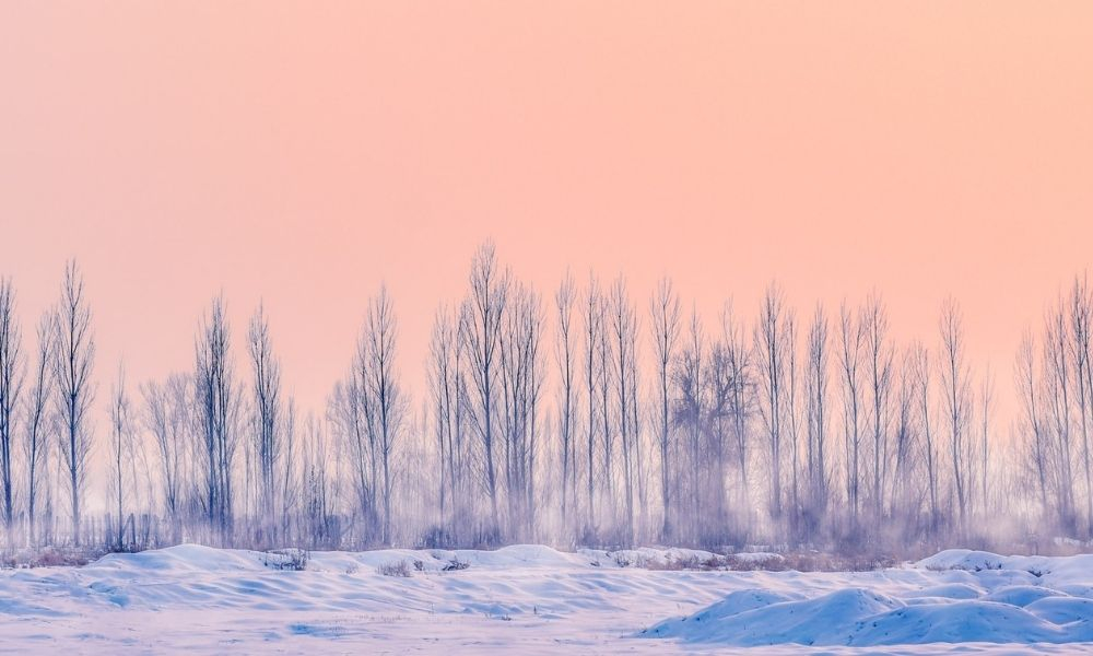 Parfum hiver homme, 6 senteurs douces et chaudes pour la saison hivernale