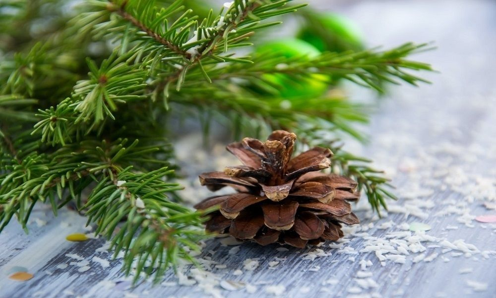 Parfum sapin - 3 senteurs pour une ambiance de Noël réussie