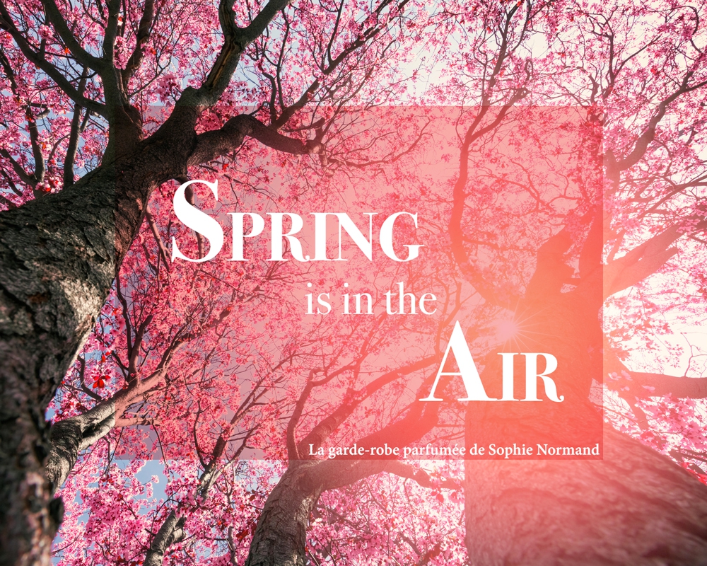 Spring is in the Air 
