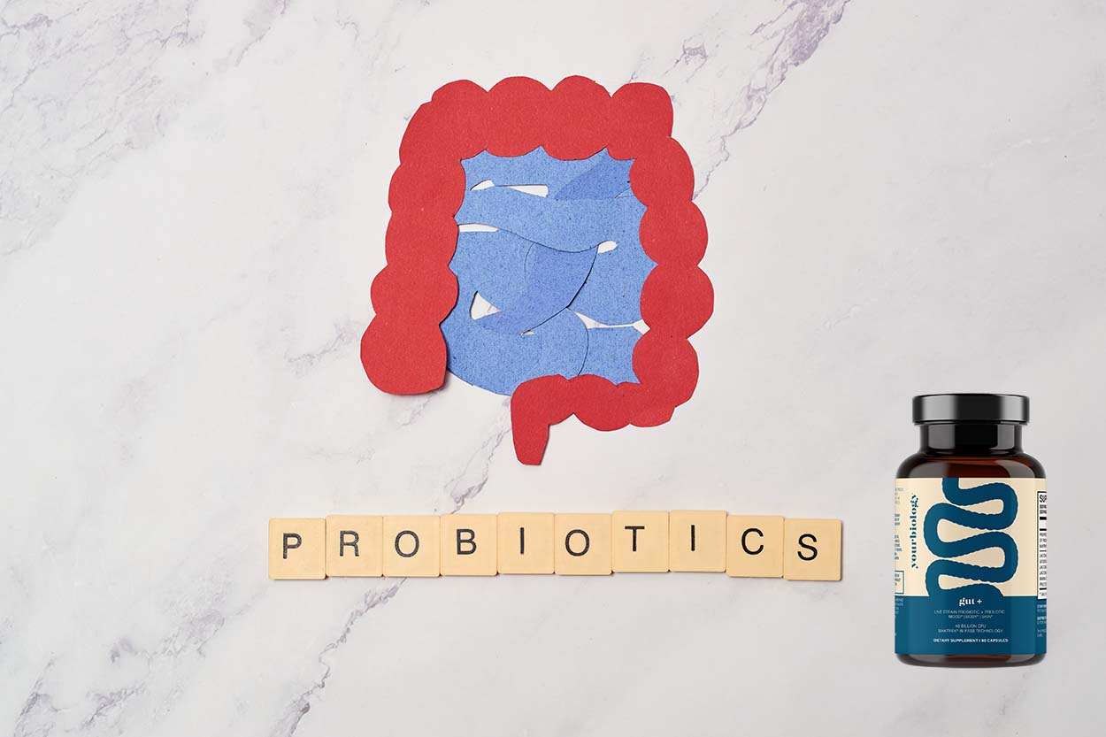 Découvrez Yourbiology : la clé d'une santé intestinale optimale