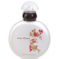 Eclat d'Orient