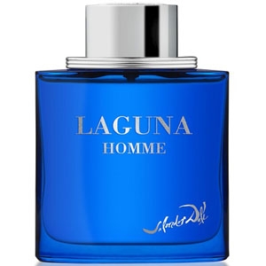 Laguna Homme