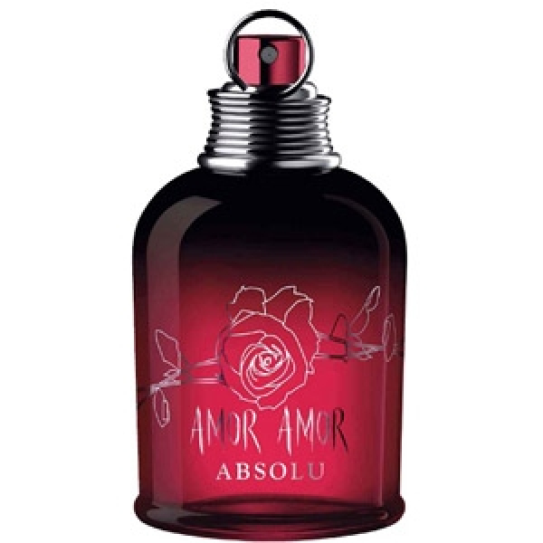 AMOR AMOR Absolu