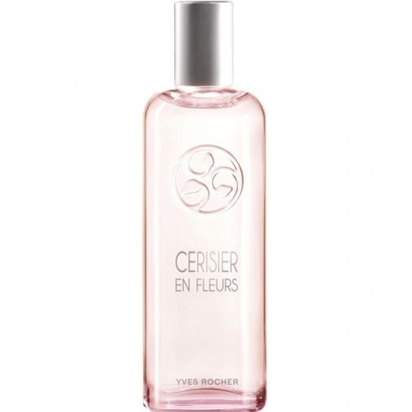 Cerisier en Fleurs