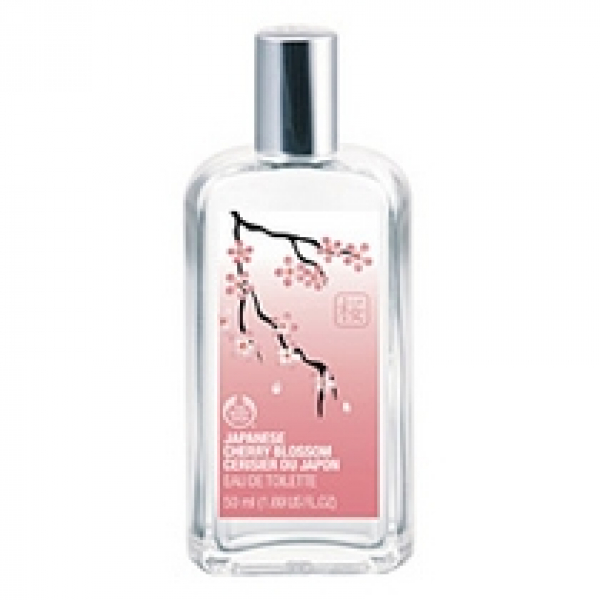 Cerisier du Japon / Japanese Cherry Blossom