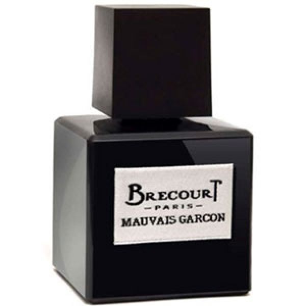 Mauvais Garçon