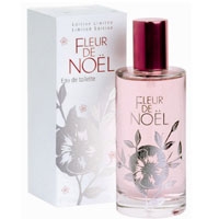 Fleur de Noël