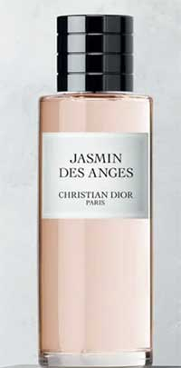 Jasmin des anges