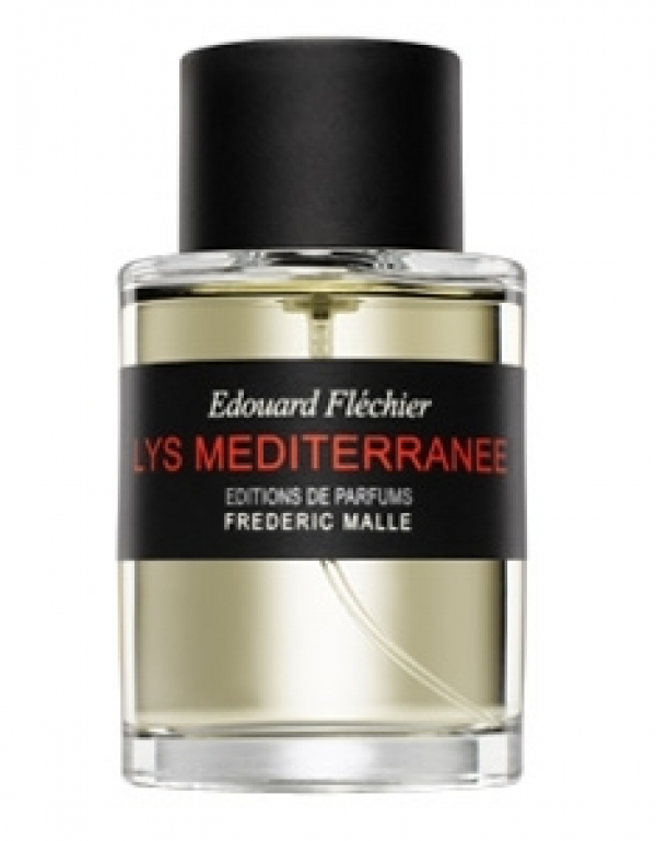 Lys Méditerranée
